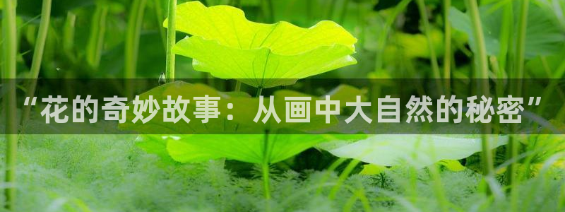 女神漫画免费在线